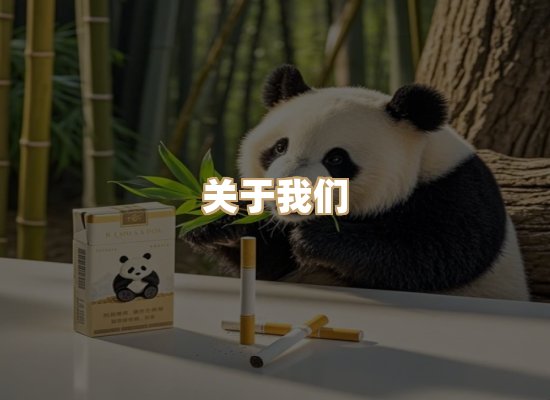 关于朗雅香烟网